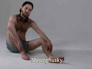 Shininghusky
