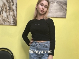 Sibleyarnet