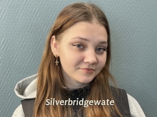 Silverbridgewate