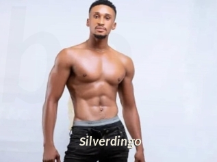 silverdingo Blog éjac
