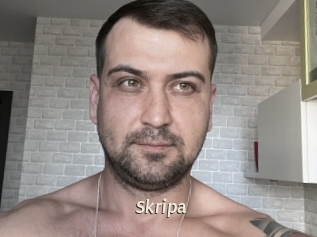 Skripa