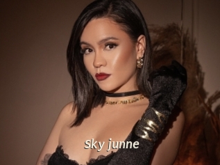 Sky_junne