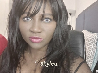 skyleur Blog éjac