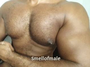 smellofmale Blog éjac