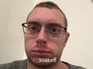 Snakefl