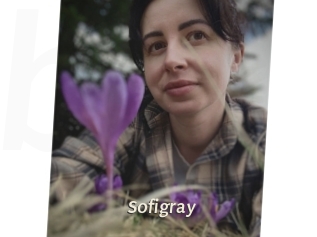 Sofi_gray