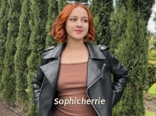Sophicherrie