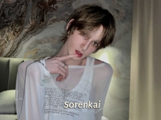 sorenkai Blog éjac