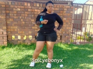 Spicyebonyx