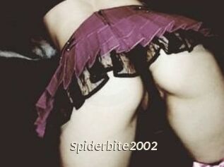 Spiderbite2002