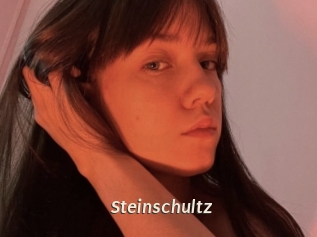 Steinschultz