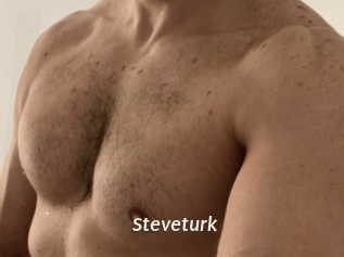 Steveturk