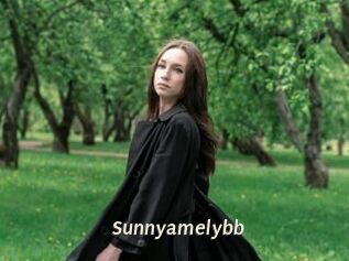 Sunnyamelybb