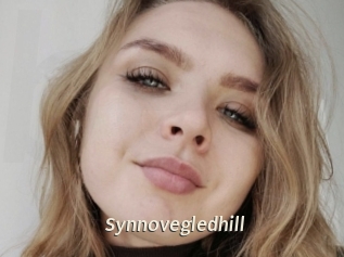 Synnovegledhill