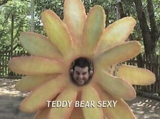 TEDDY_BEAR_SEXY