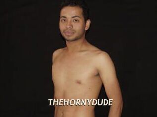 THEHORNYDUDE