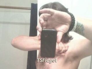 TSFidget