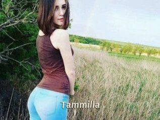 Tammilla_