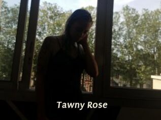 Tawny_Rose