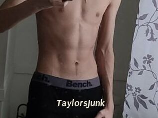 TaylorsJunk
