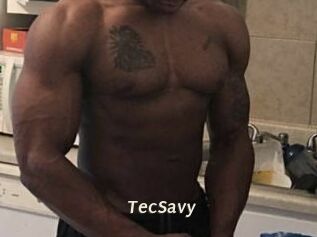 TecSavy