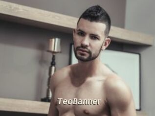 TeoBanner