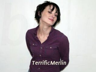 TerrificMerlin