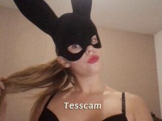 Tesscam