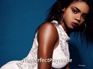ThePerfectPlaymate