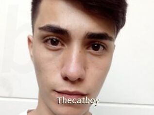 Thecatboy