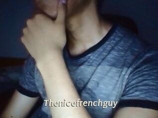 Thenicefrenchguy