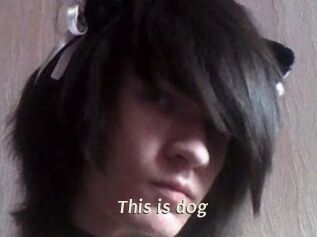 This_is_dog