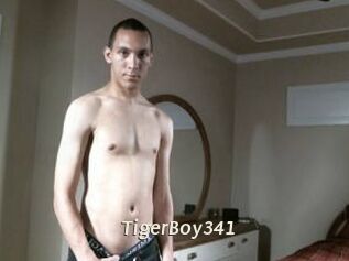 TigerBoy341