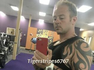 Tigerstripes6767