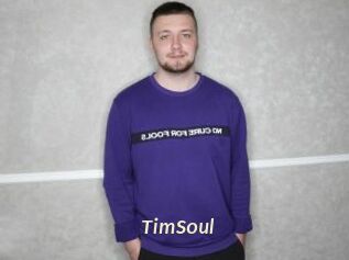 TimSoul