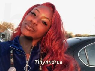 TinyAndrea