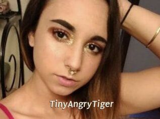 TinyAngryTiger