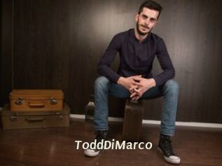 ToddDiMarco