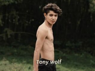 Tony_wolf