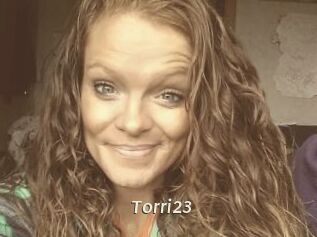 Torri23