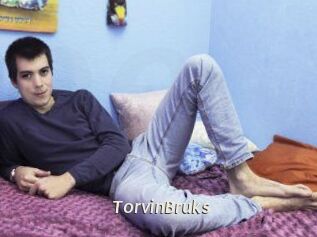 TorvinBruks