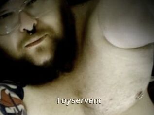 Toyservent
