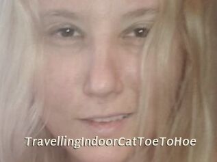 TravellingIndoorCatToeToHoe