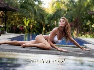 Tropical_angel