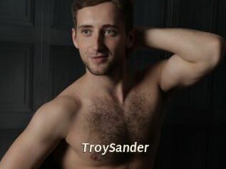 TroySander