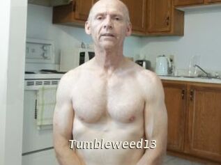 Tumbleweed13