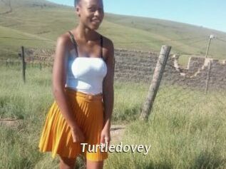 Turtledovey