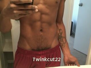 Twinkcut22