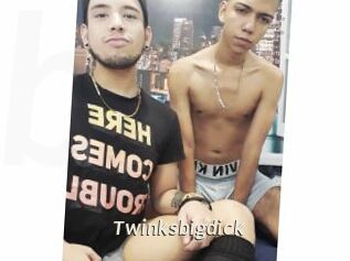 Twinksbigdick