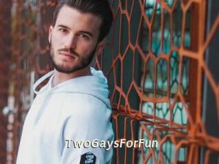 TwoGaysForFun